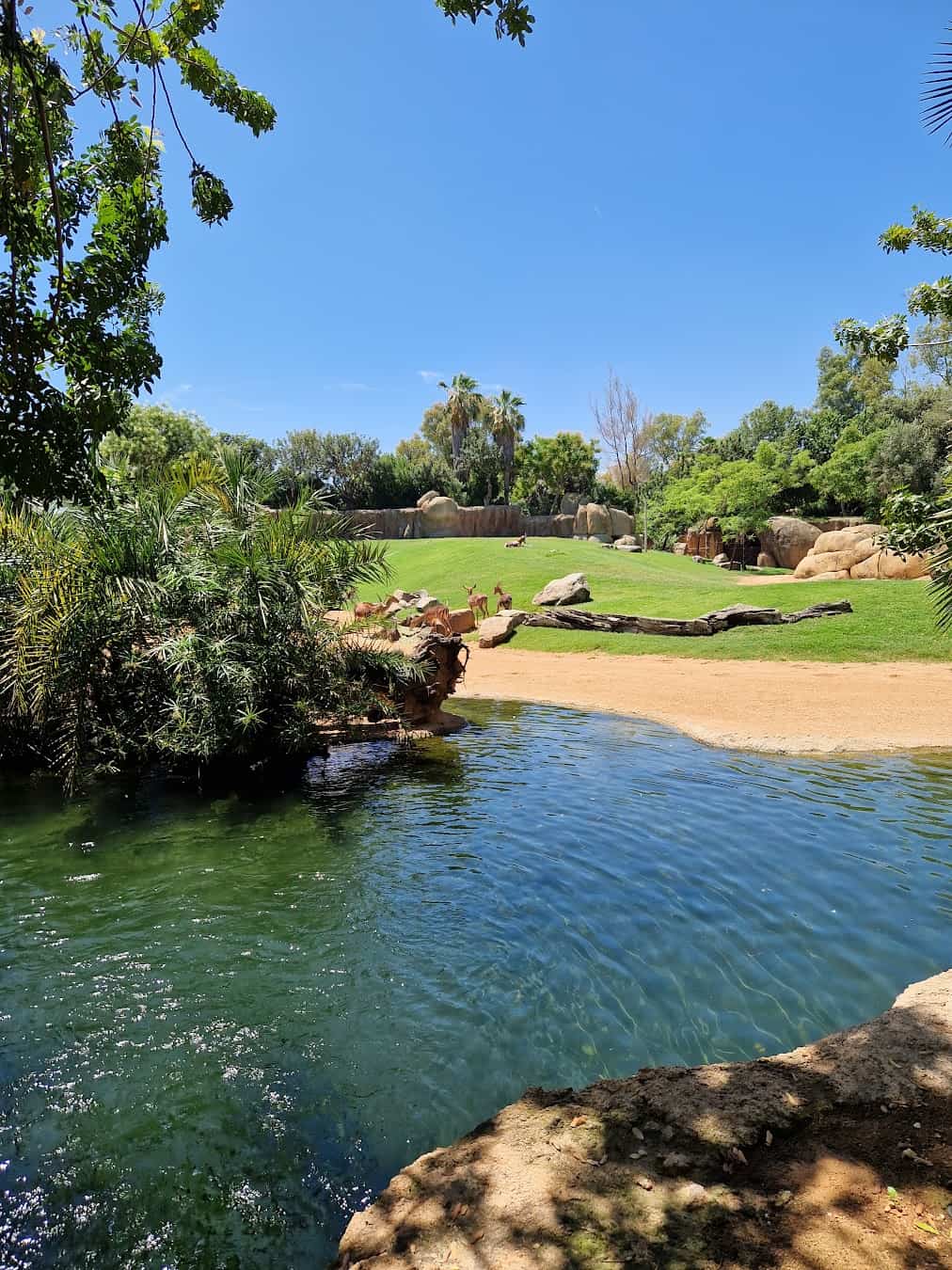 Bioparc Valencia,Spain