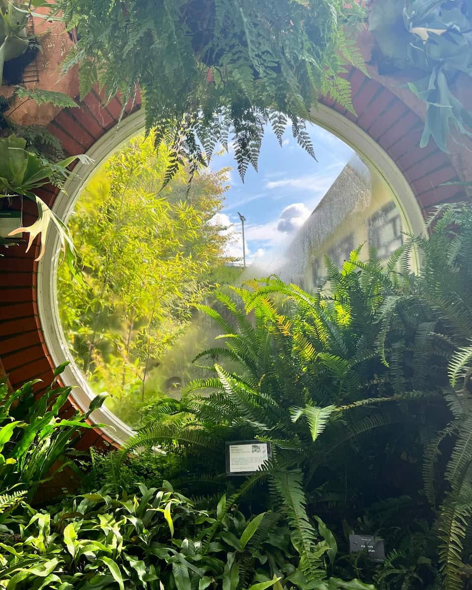 Birmingham Botanical Gardens