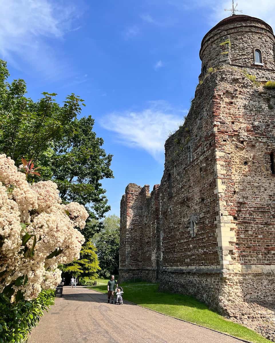 Essex: Colchester Castle Museum