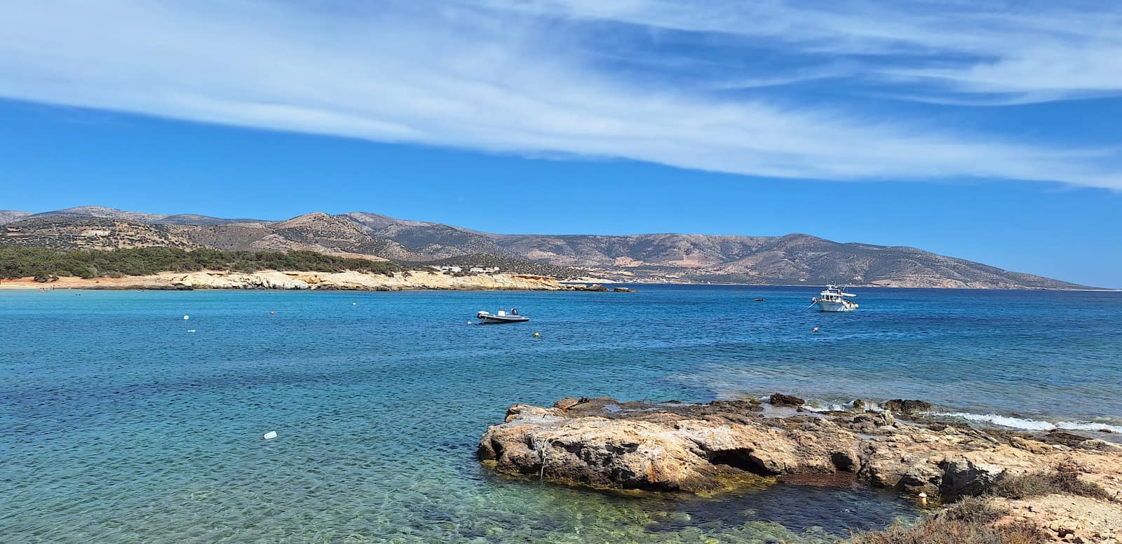 Cedar Forest of Alyko