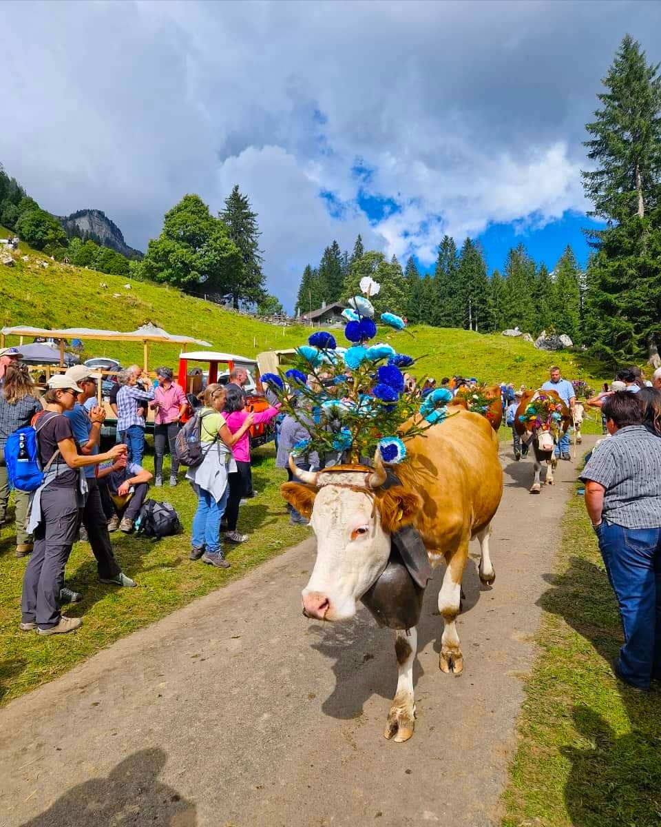 Chästeilet, Justistal (2)