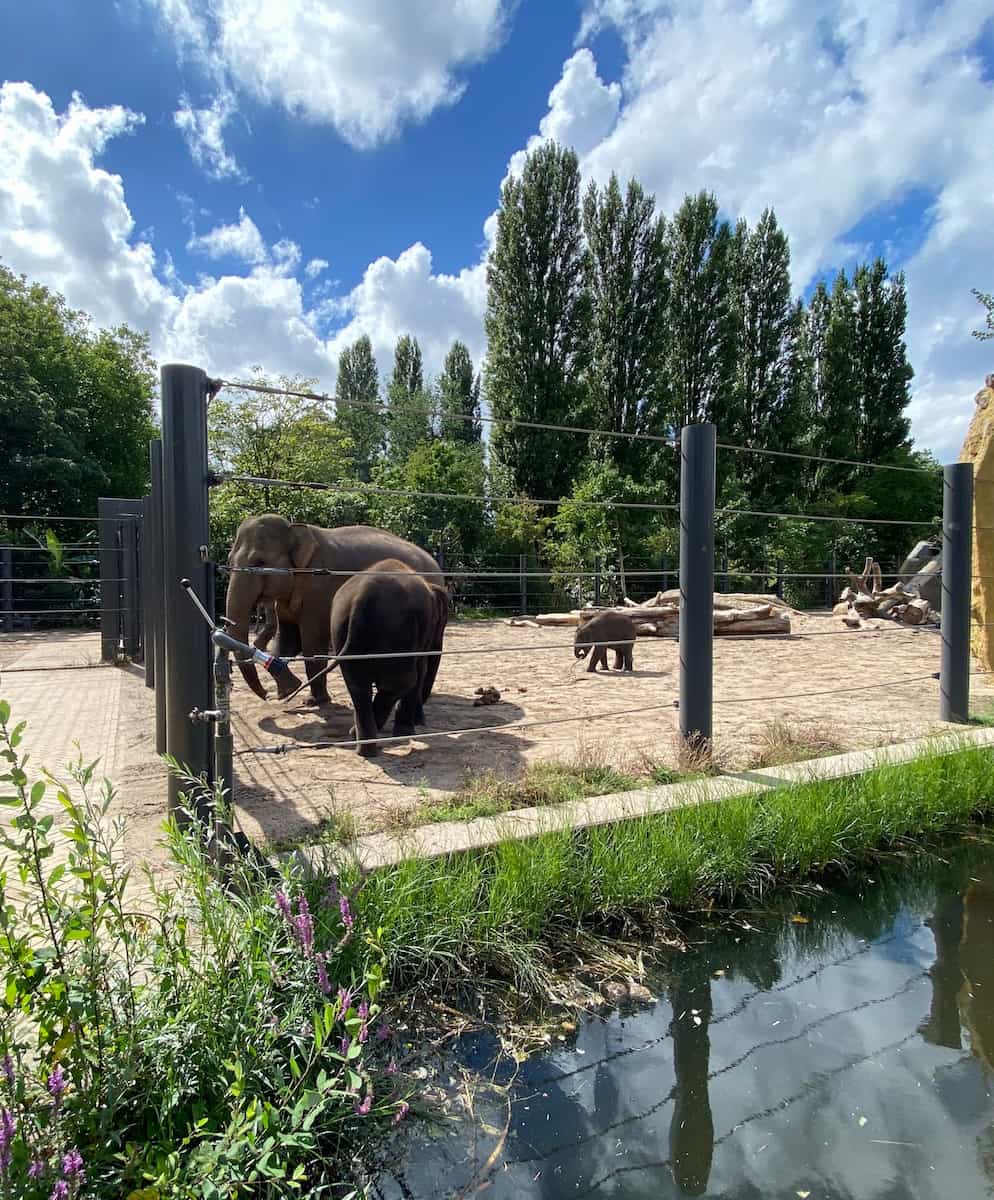 Eindhoven Zoo