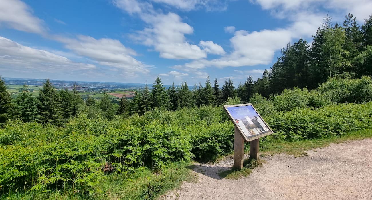 Haldon Forest Park