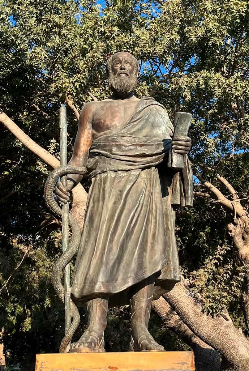 Hippocrates Plane Tree Kos