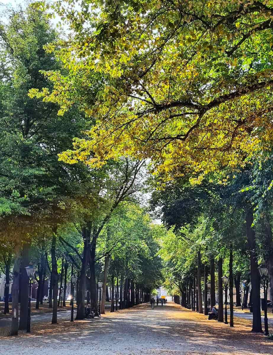 Lange Voorhout, Hague