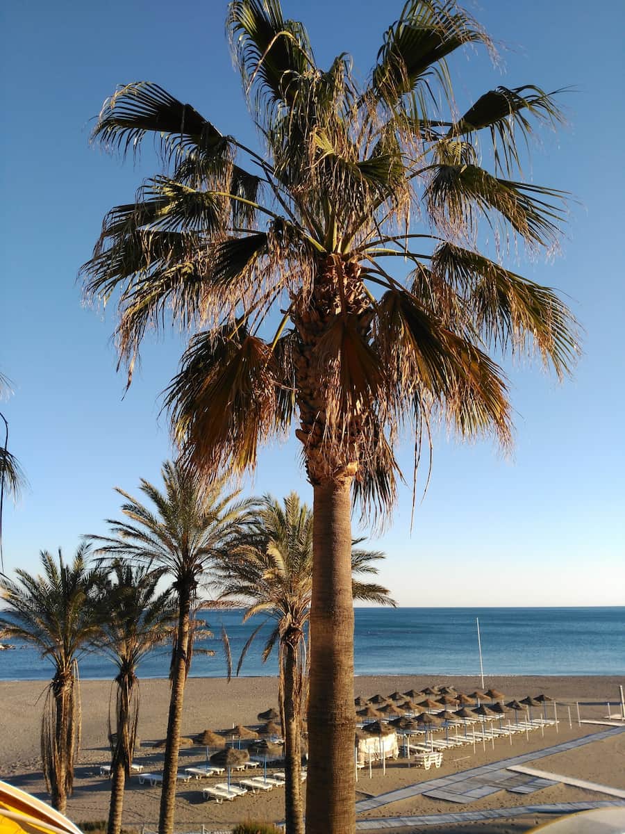 Marbella_Paseo_Marítimo2