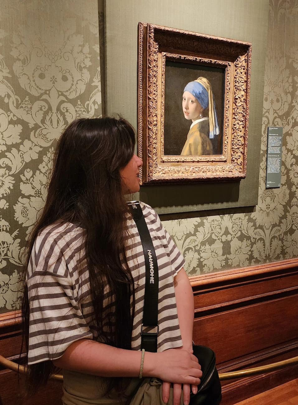 Mauritshuis Museum, Hague