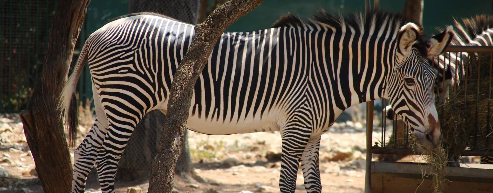 Montpellier Zoological Park