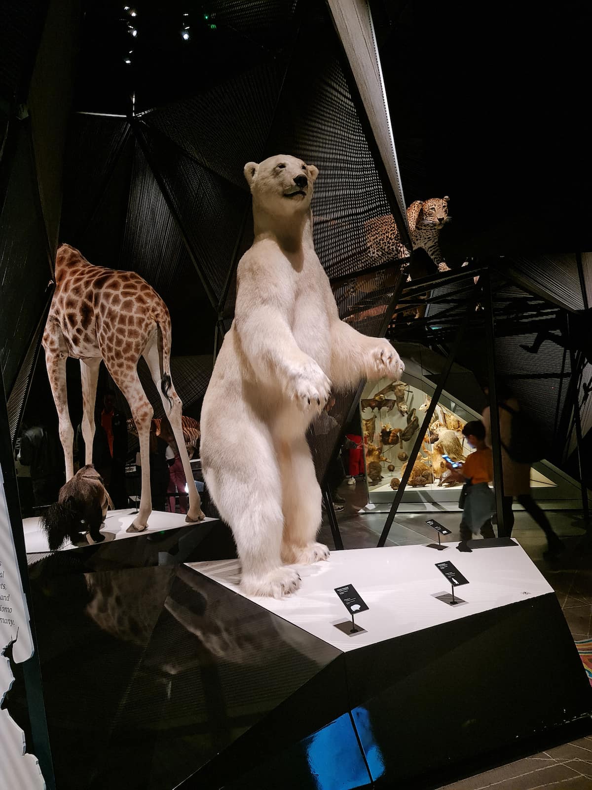 Musée Confluences, Lyon