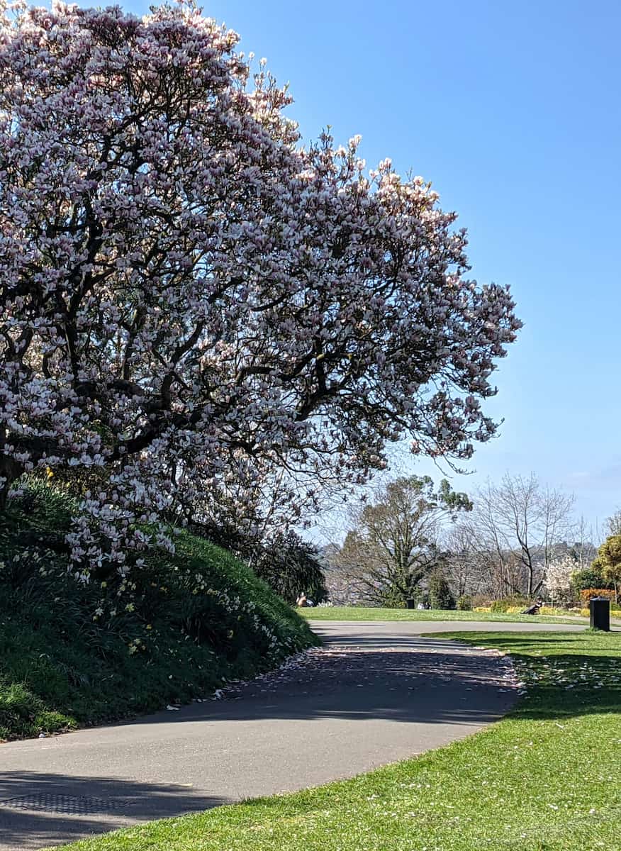 Northernhay Gardens, Exeter