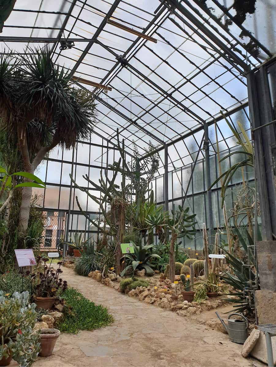 Orto Botanico dell'Università di Siena