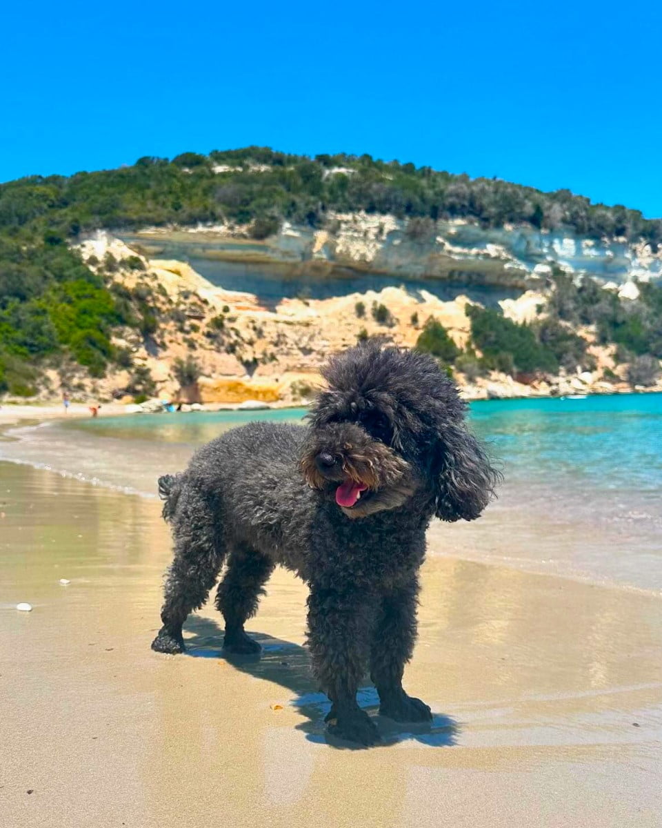 Rondinara Beach, Corsica