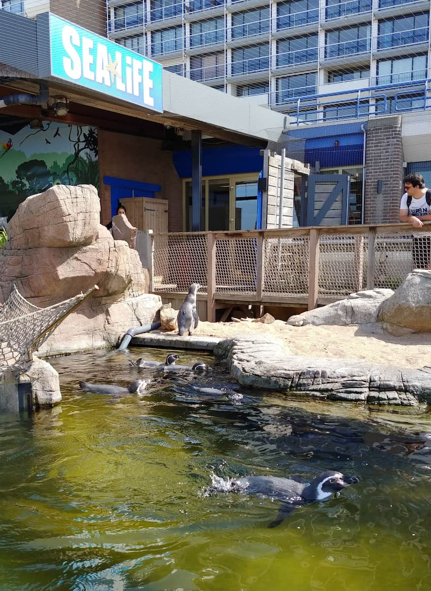 SEA LIFE Scheveningen, Hague