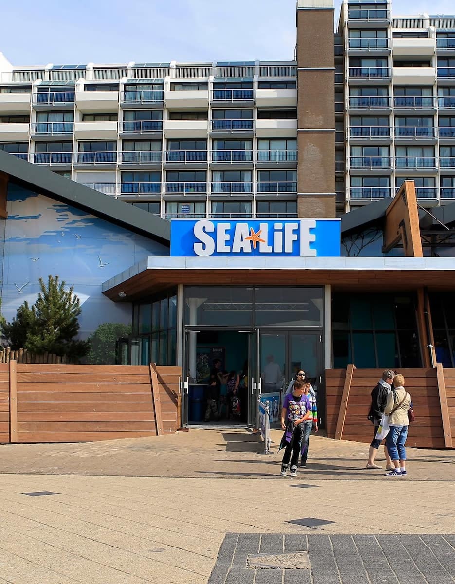 SEA LIFE Scheveningen, Hague
