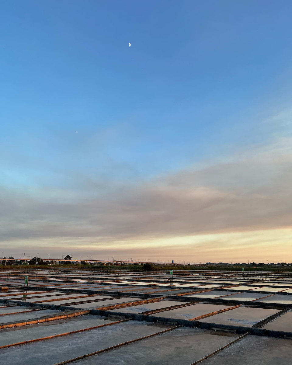 Salinas de Aveiro