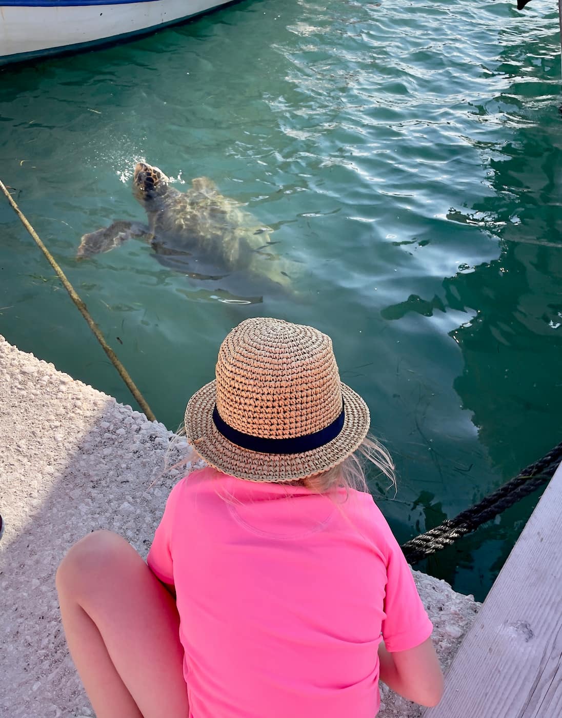 Turtle Spotting Tour