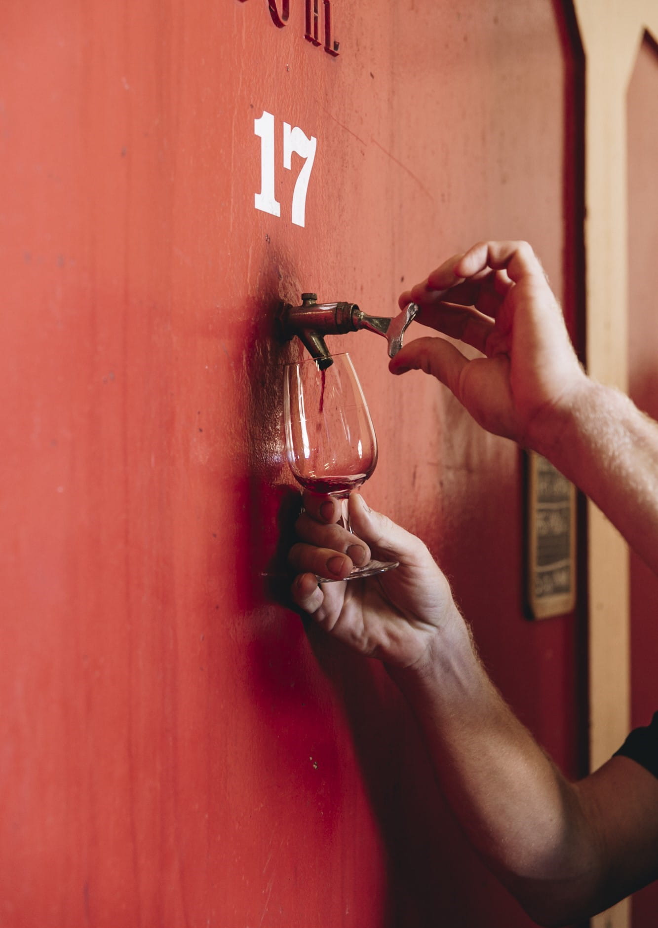 Beaujolais Nouveau Festival