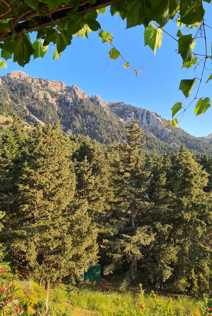 Zia Natural Park, Kos