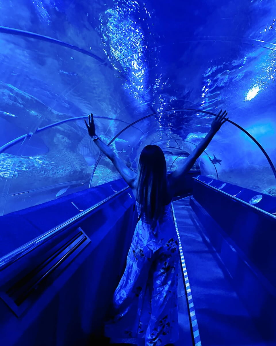 Aquarium of Western Australia, Petrh Aquarium of Western Australia, Petrh