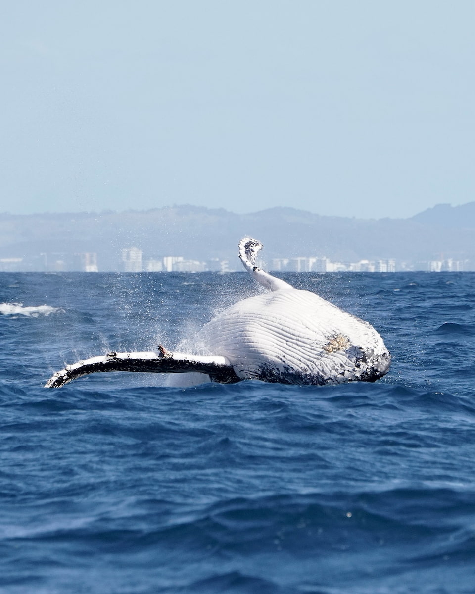 Aquarium of Western Australia, Petrh Aquarium of Western Australia, Petrh