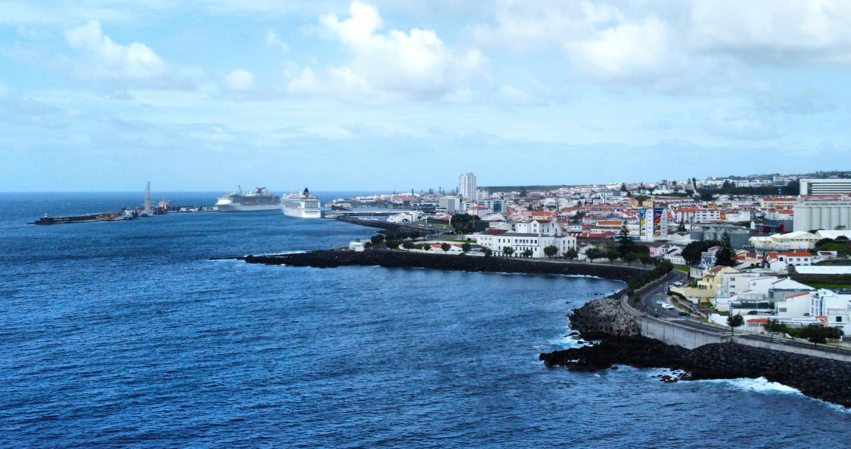 Avenida Infante Dom Henrique