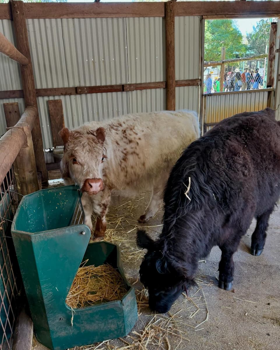 Caversham Wildlife Park, Perth Caversham Wildlife Park, Perth