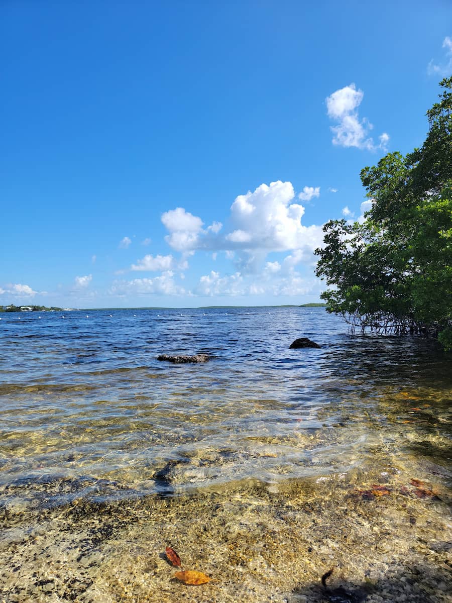 Florida, John Pennekamp Coral Reef State Park