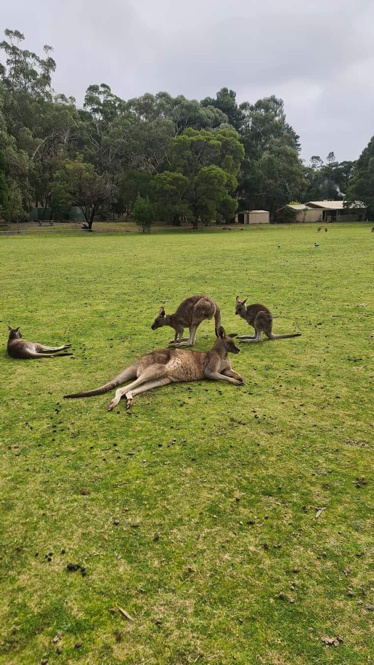 Grampians National Park, Australia Grampians National Park, Australia