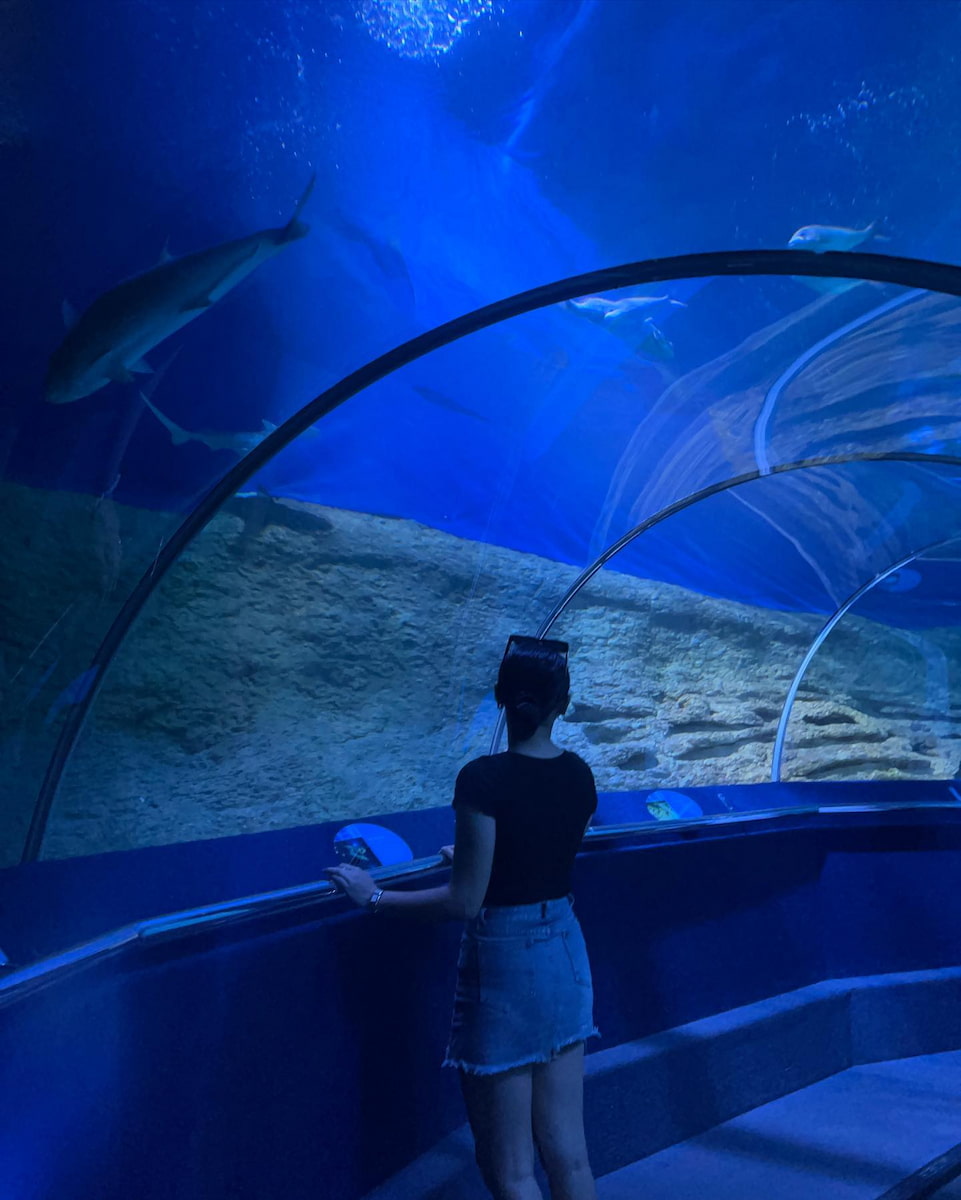 The Aquarium of Western Australia, Perth The Aquarium of Western Australia, Perth