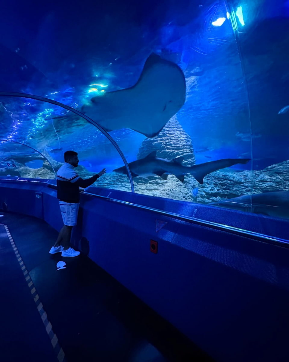 The Aquarium of Western Australia, Perth The Aquarium of Western Australia, Perth