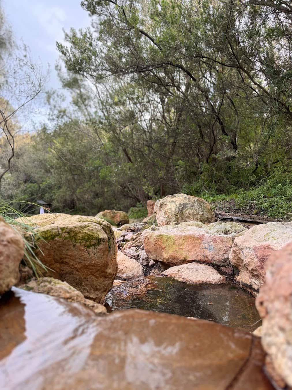 Mornington Peninsula, Australia Mornington Peninsula, Australia