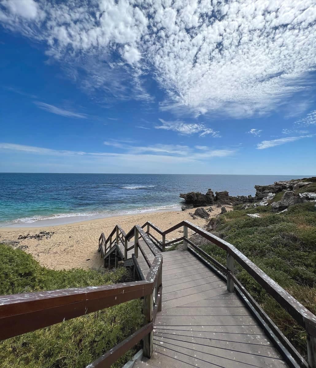 Penguin Island, Petrh Penguin Island, Petrh