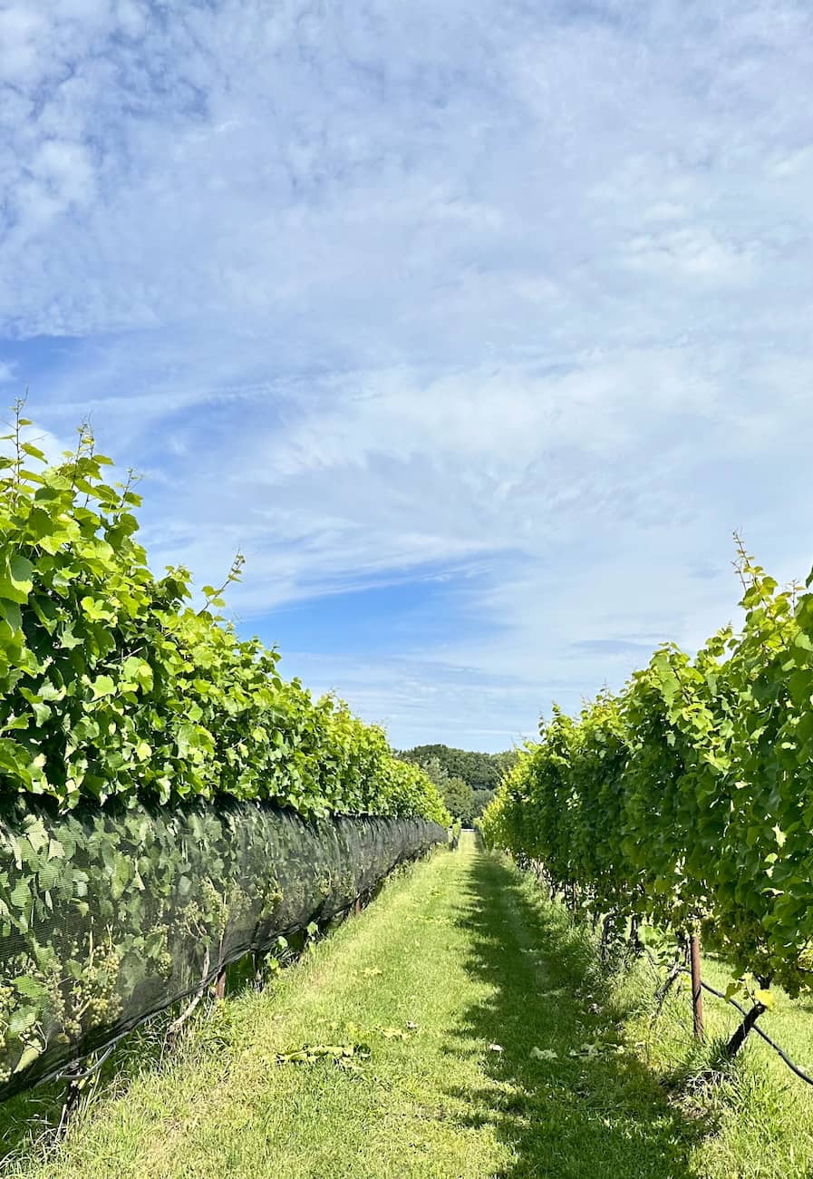 Southwest Michigan Wineries 2