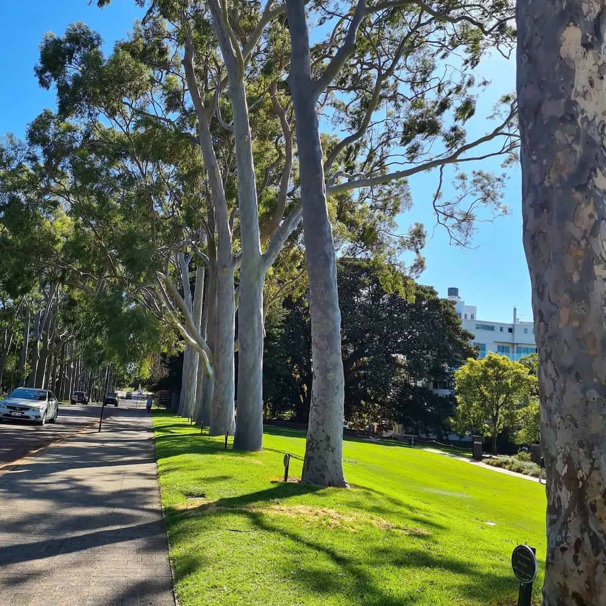 Spring at Perth Spring at Perth