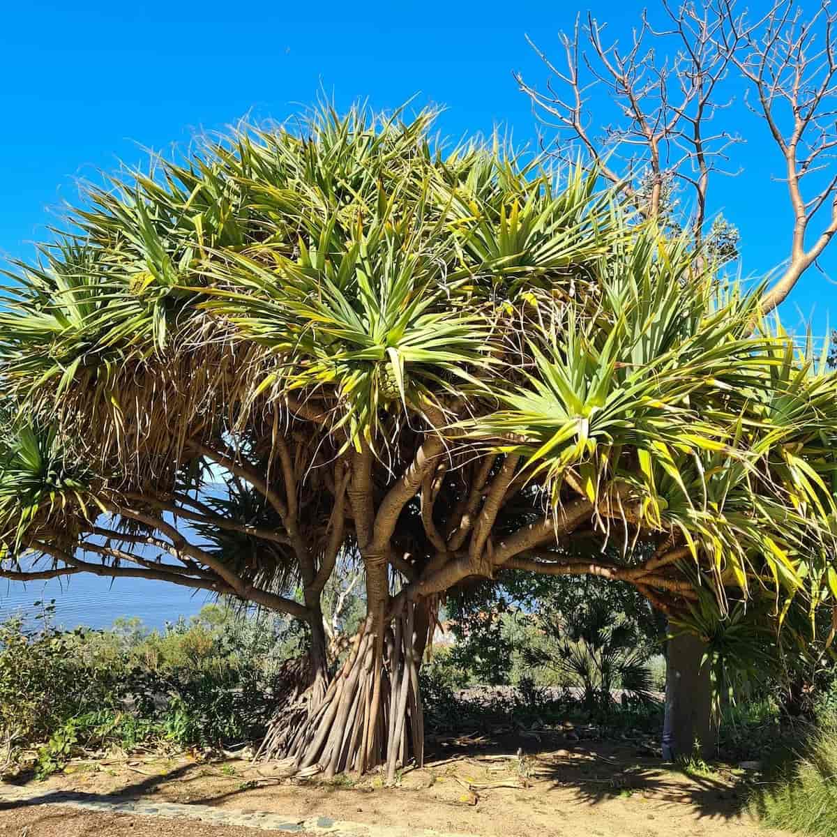 Spring at Perth Spring at Perth