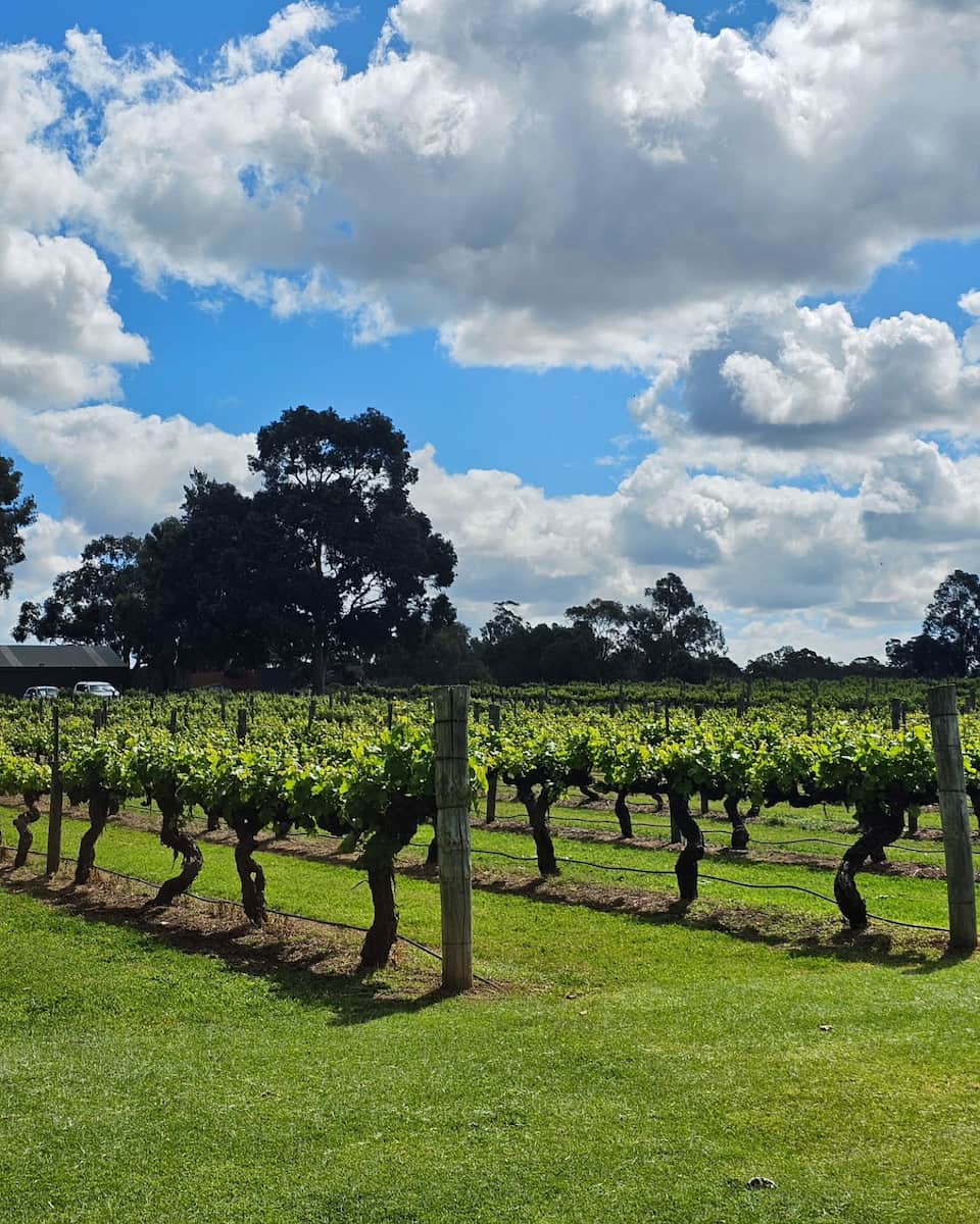 Swan Valley, Perth Swan Valley, Perth