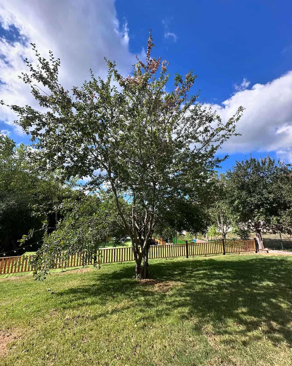 Turkey, Polonezköy Turkey, Polonezköy