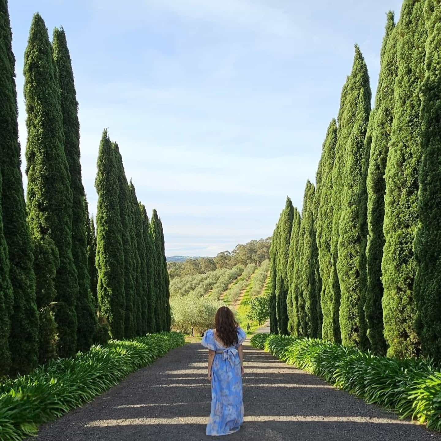 Yarra Valley, Australia Yarra Valley, Australia