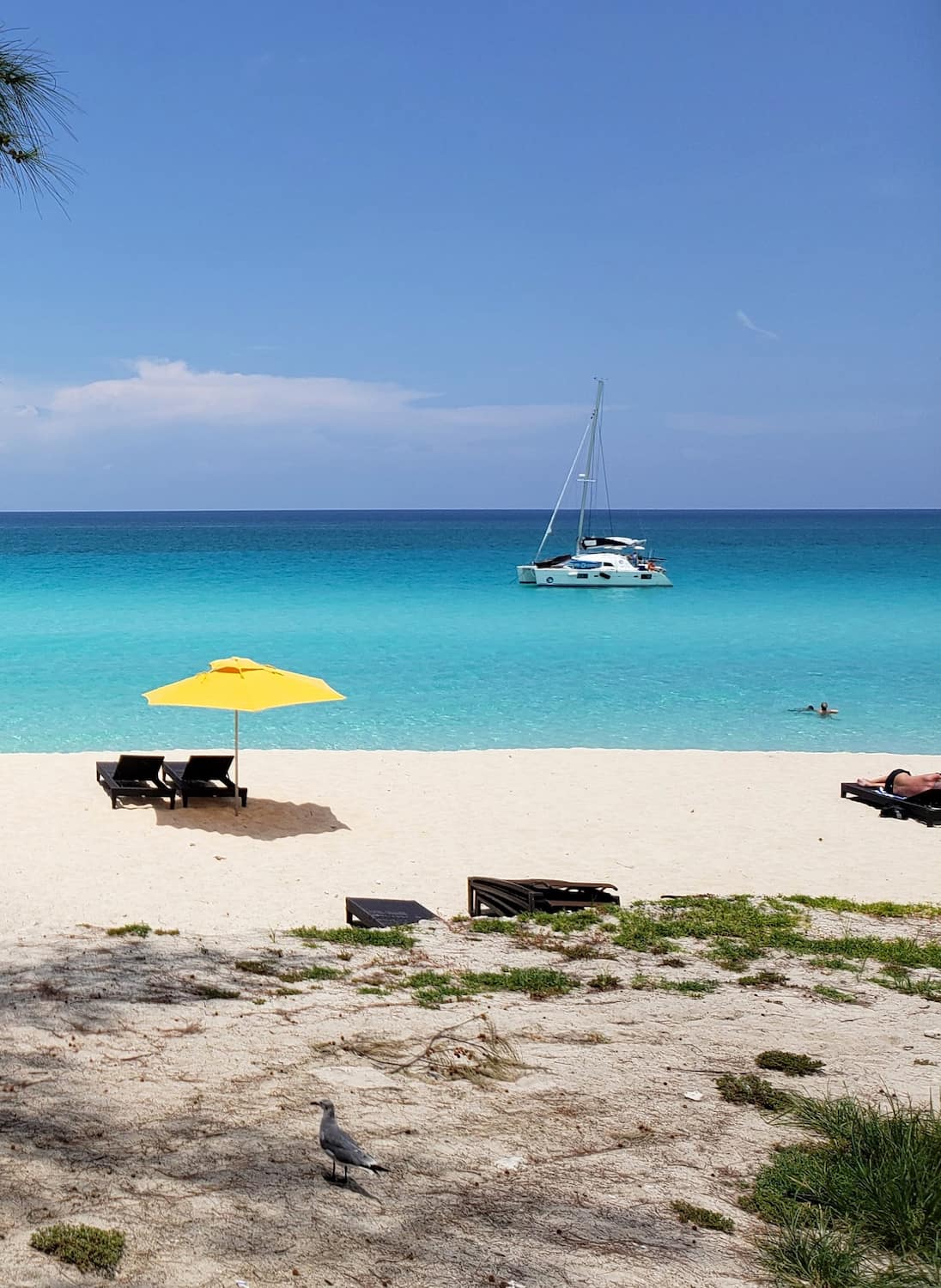 Bimini Fort Lauderdale Bimini Fort Lauderdale