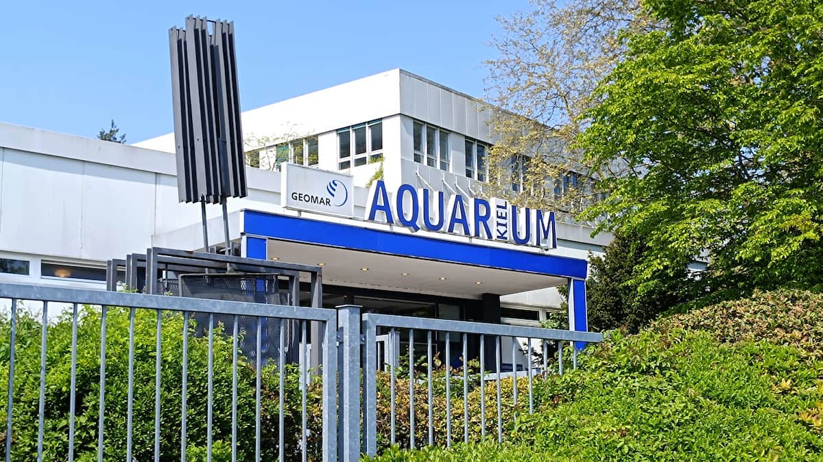 Aquarium Geomar