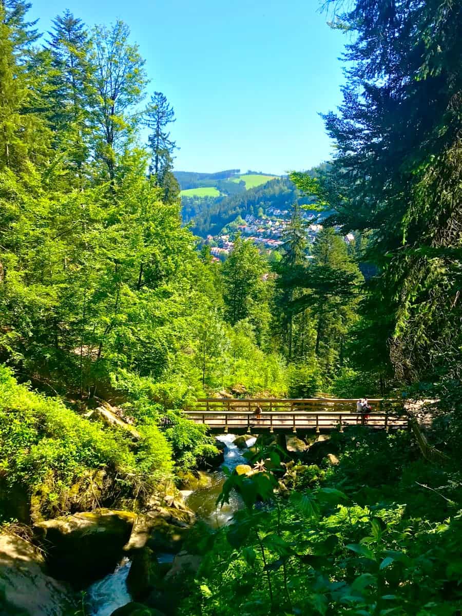 Black Forest, Germany