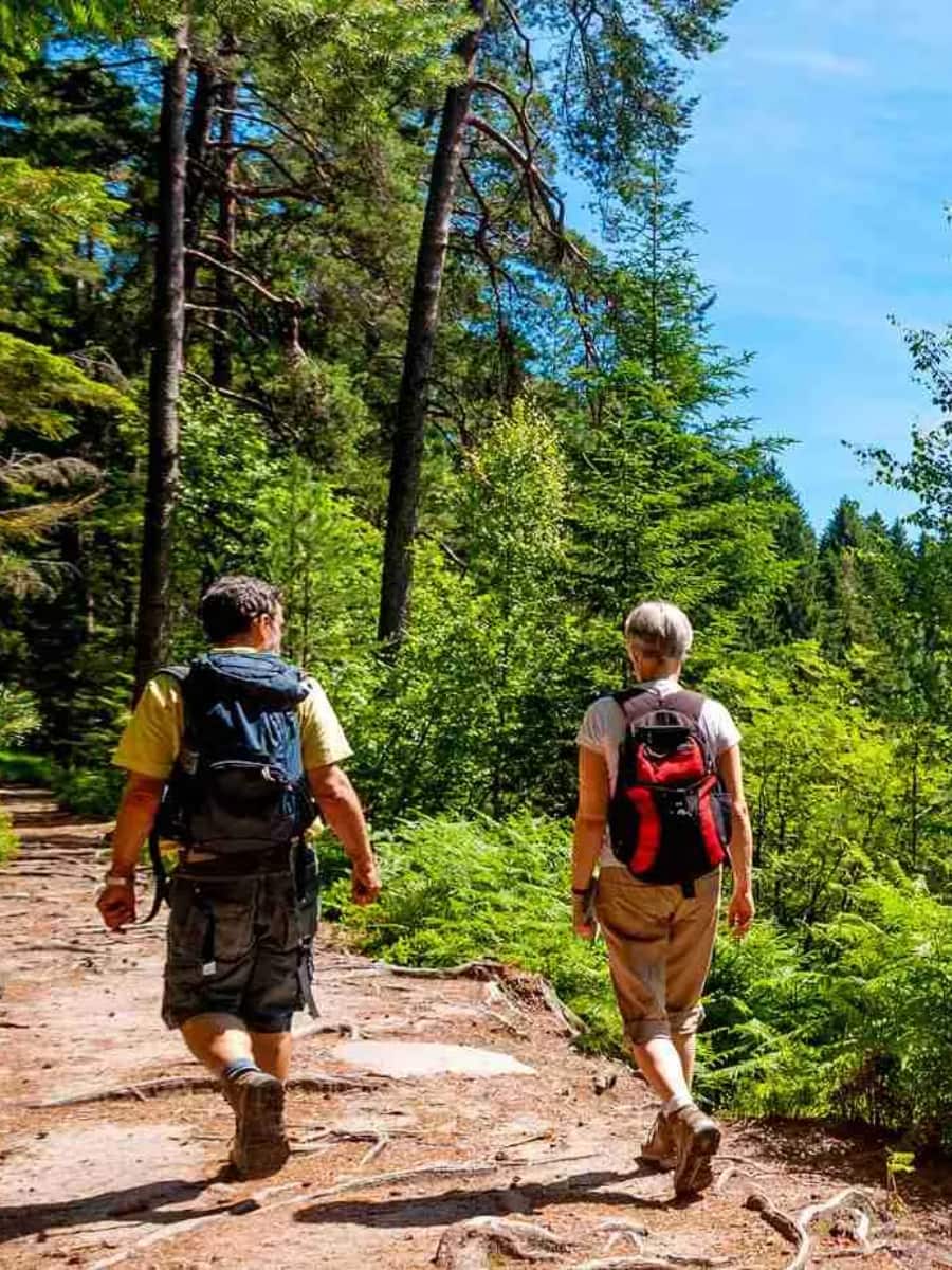 Black Forest, Germany
