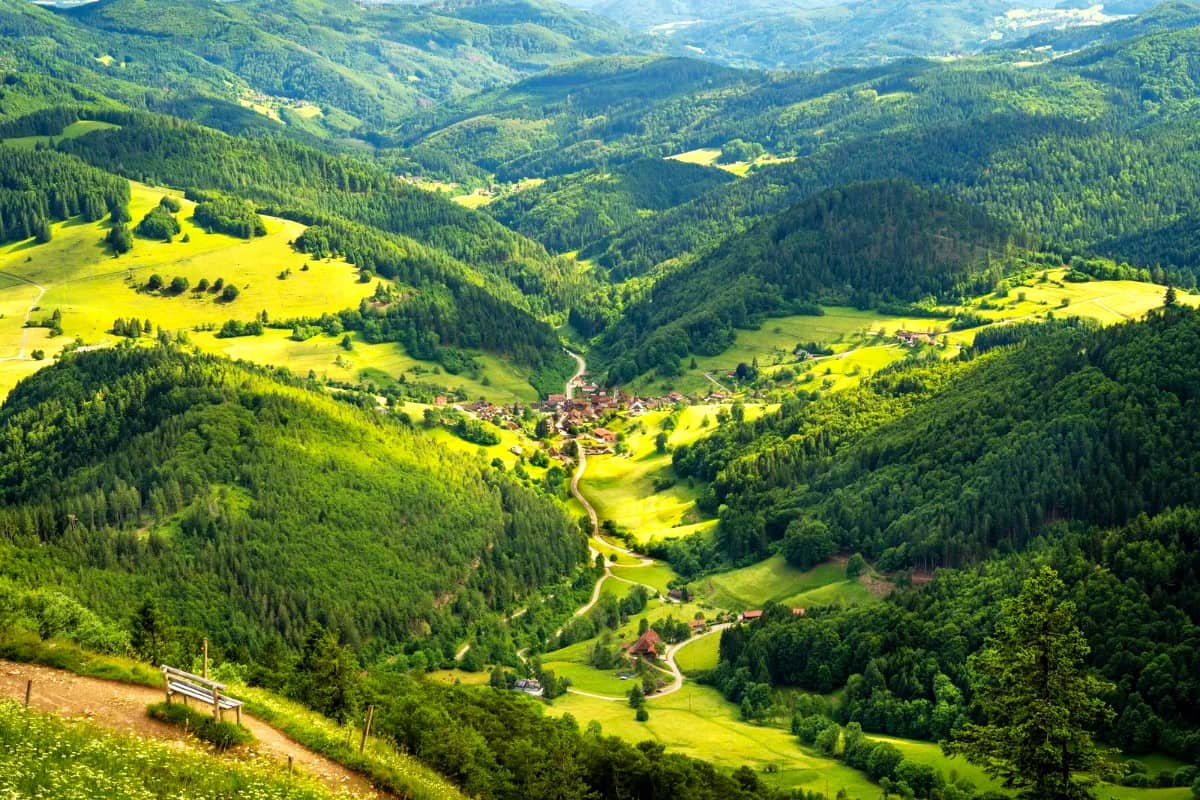 Black Forest, Germany
