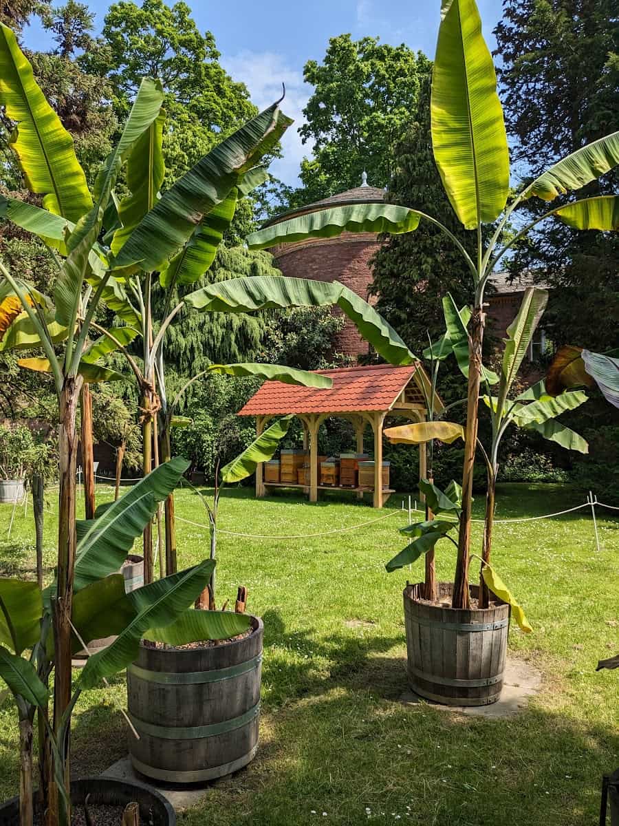 Botanical Gardens, Karlsruhe