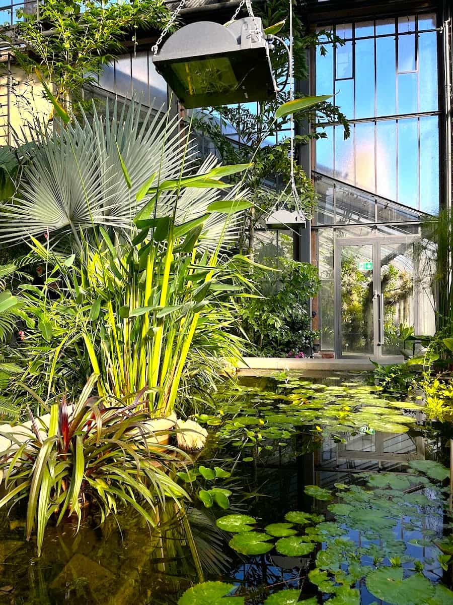 Botanical Gardens, Karlsruhe