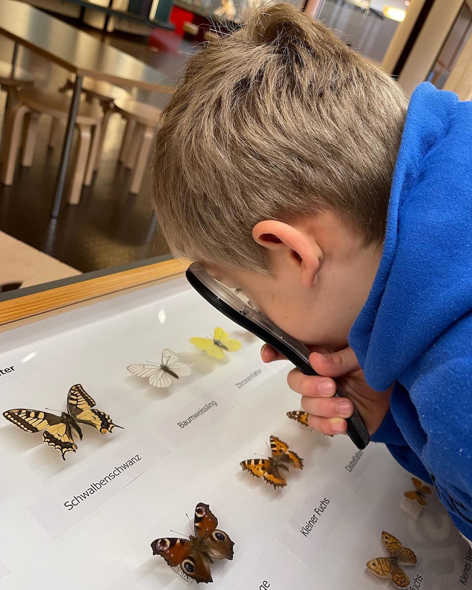 Bündner Naturmuseum