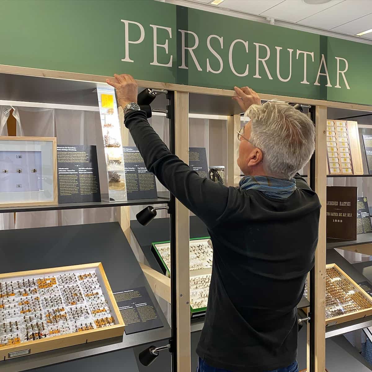 Bündner Naturmuseum