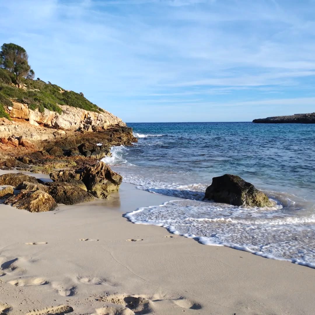 Cala Falco, Palma Nova