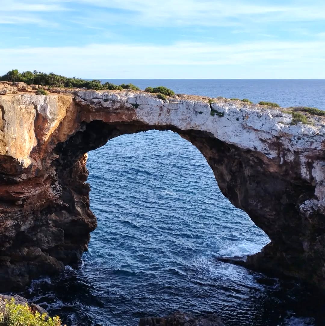 Cala Falco, Palma Nova
