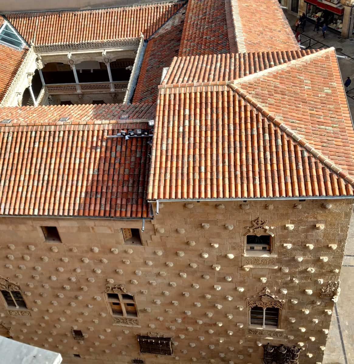 Casa de las Conchas, Salamanca